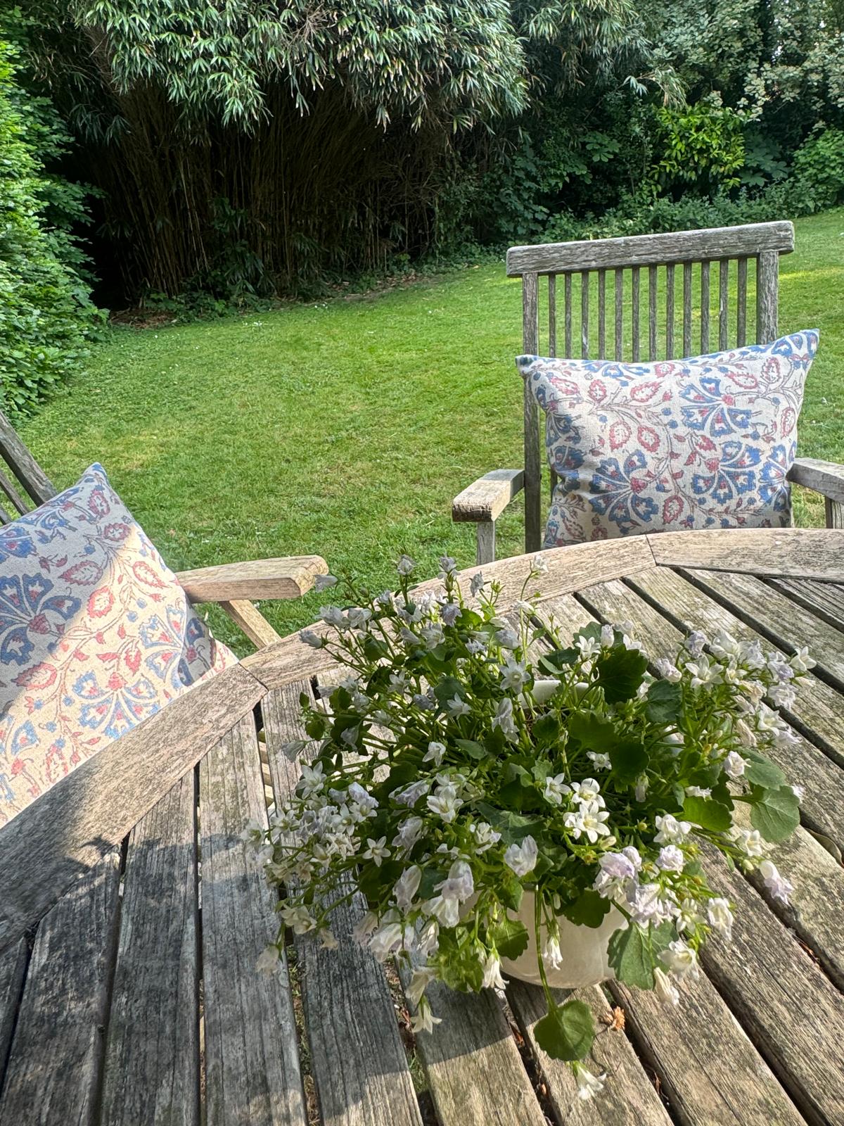 A weathered teak garden table and chairs at St Anselm's with patterned cushions and a pot of white campanula, looking out across the lawn to a tall bamboo hedge
