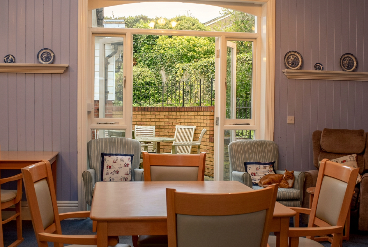 Dining area at St Anselm's with wooden tables and chairs, decorative blue and white plates on lilac panelled walls, and french doors opening onto the garden terrace with a ginger cat resting on an armchair